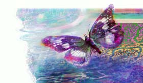 El vuelo de la mariposa